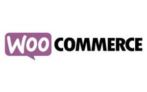 WooCommerce SEO